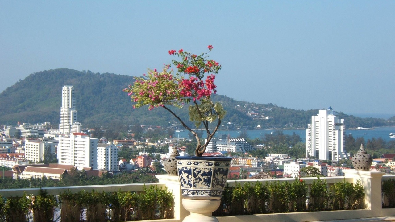 Photo of Outdoor in Patong