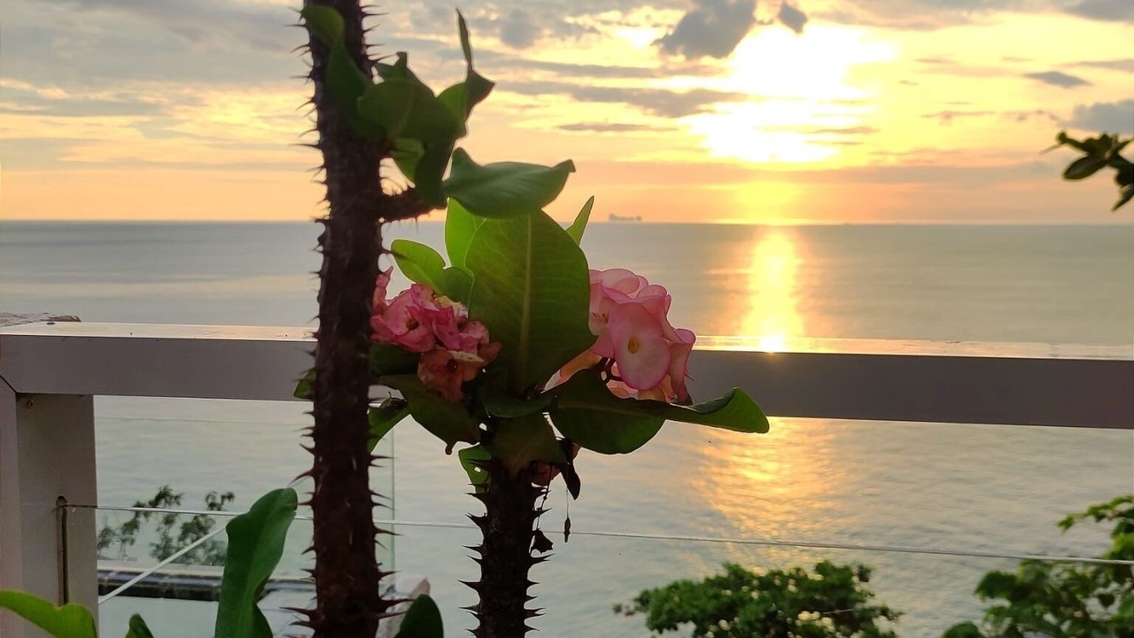 Photo of Outdoor in Ko Lanta