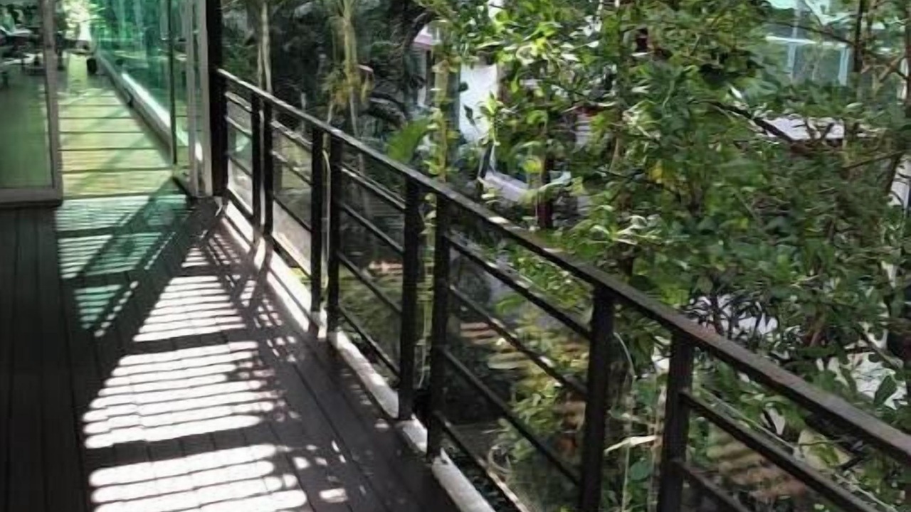 Photo of Outdoor in Nong Bon