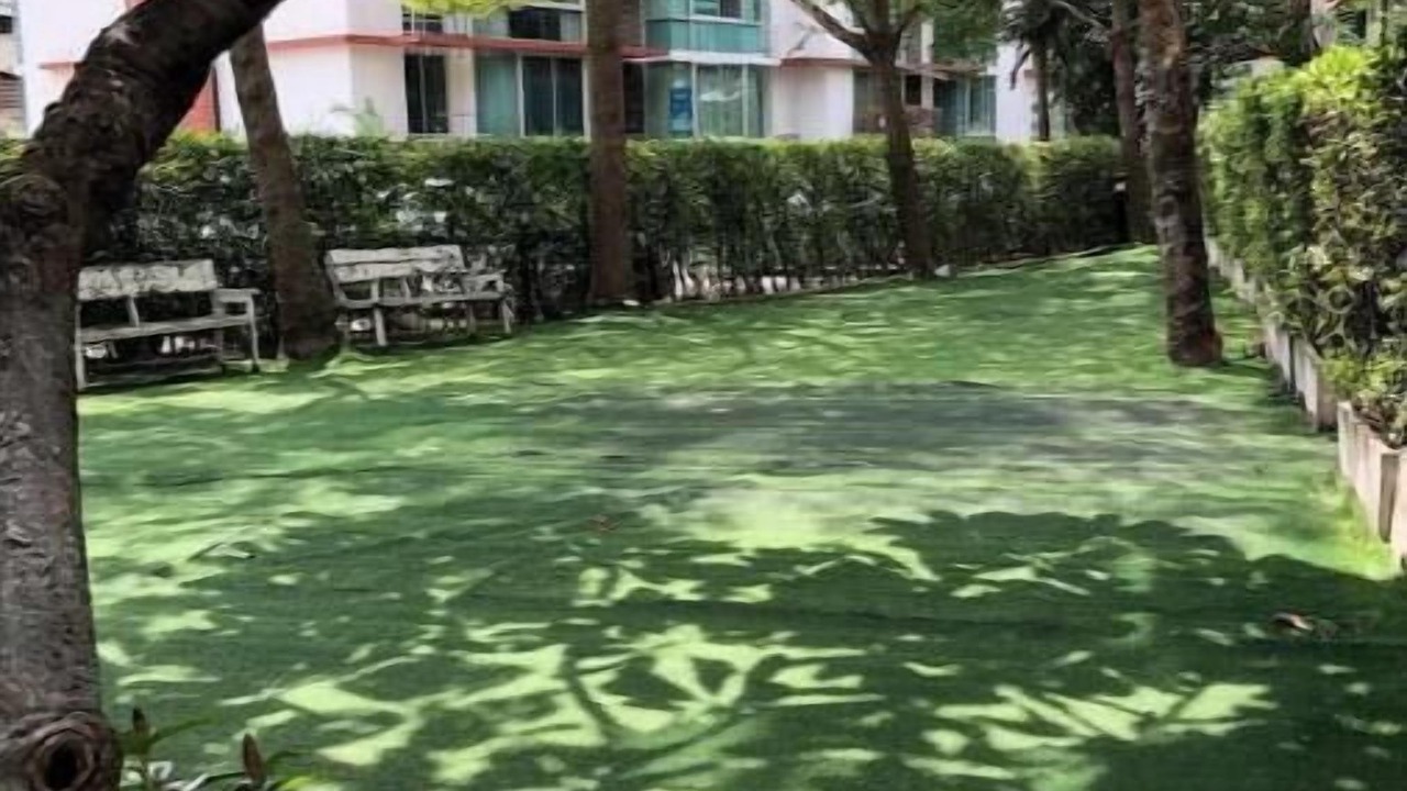 Photo of Outdoor in Nong Bon