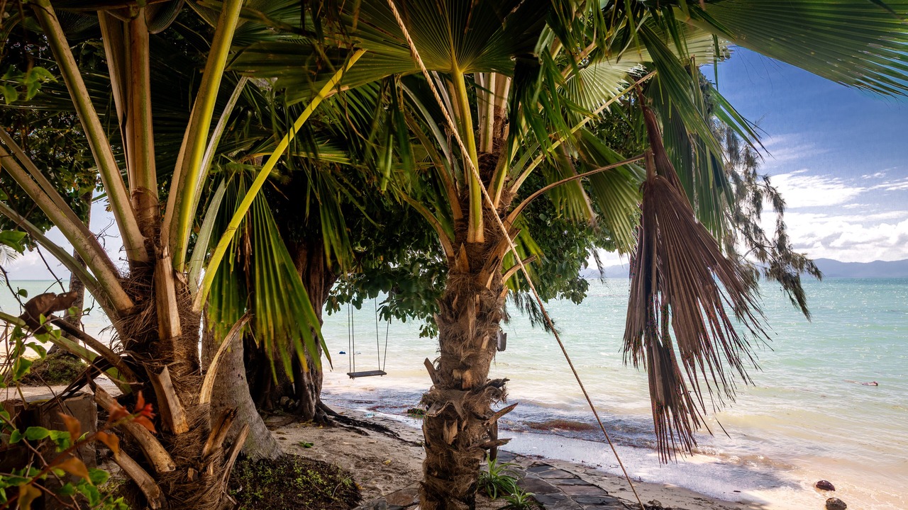 Photo of Others in Ko Pha-ngan