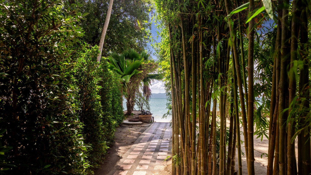 Photo of Outdoor in Ko Pha-ngan