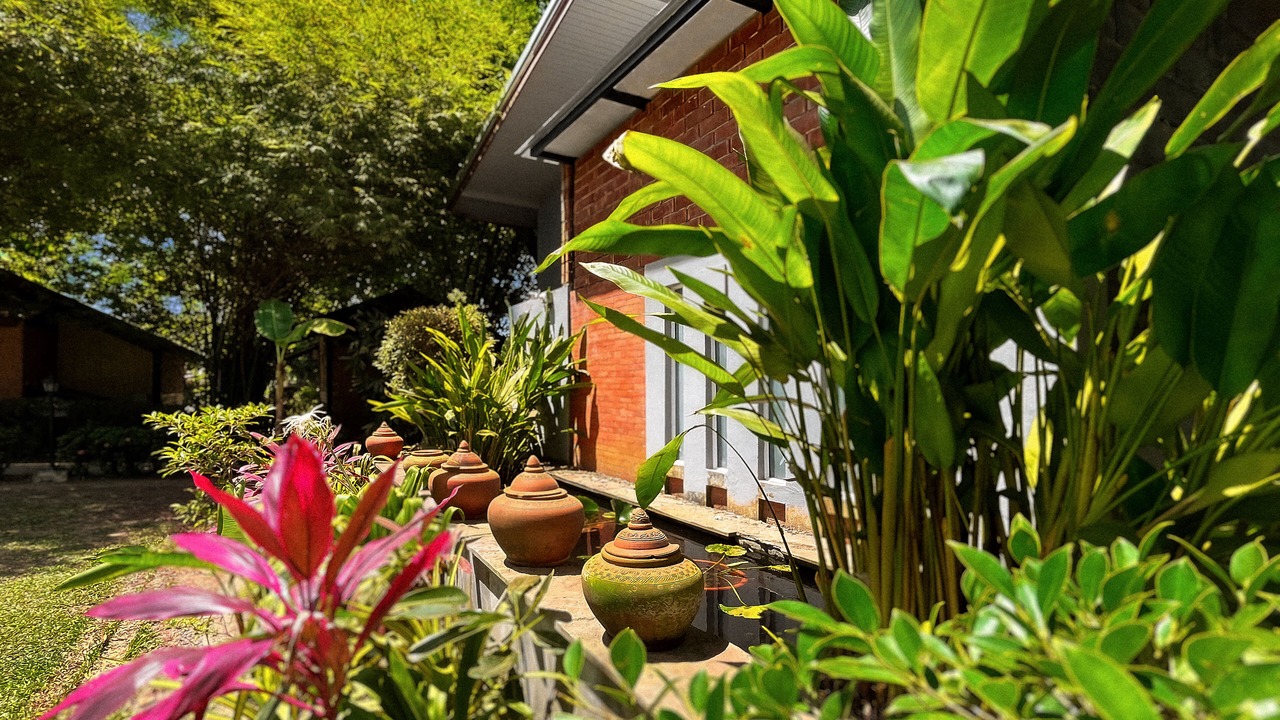Photo of Outdoor in Ko Pha-ngan