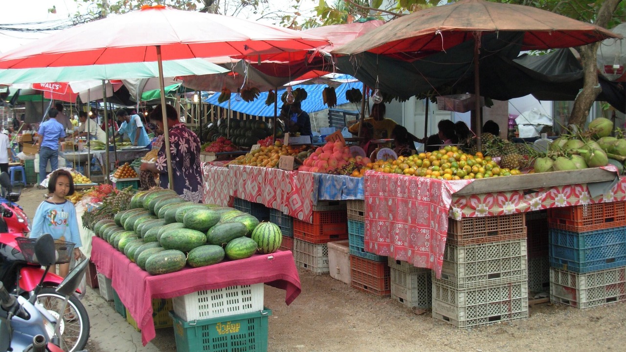 Photo of Others in Bophut
