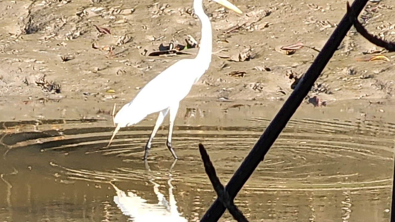 Photo of Others in Phangnga
