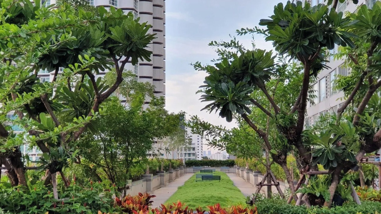 Photo of Outdoor in Nana