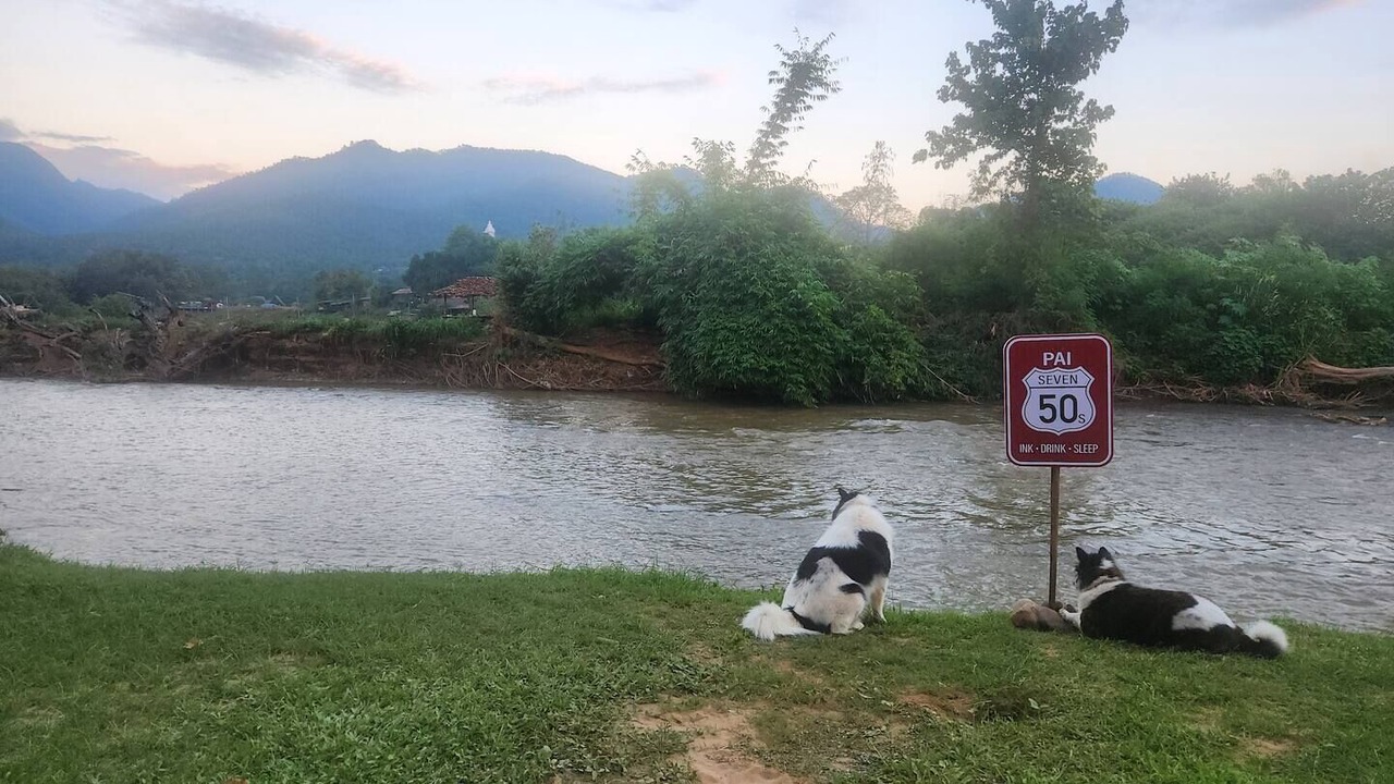 Photo of Others in Pai