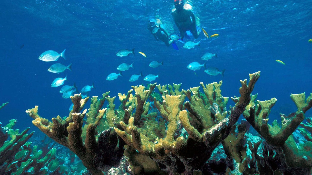 Photo of Others in Ao Nang