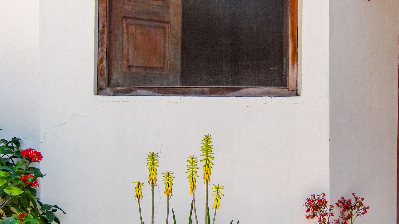 Photo of Outdoor in Las Penitas