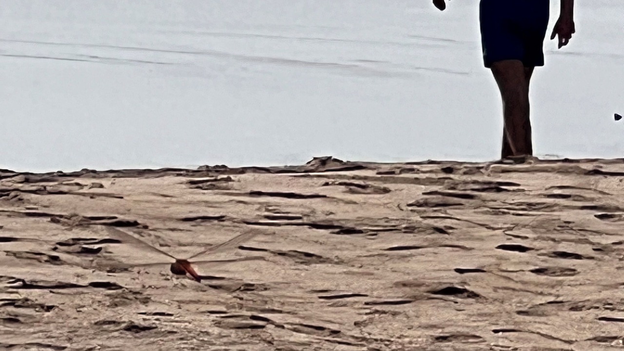 Photo of Others in Ko Lanta