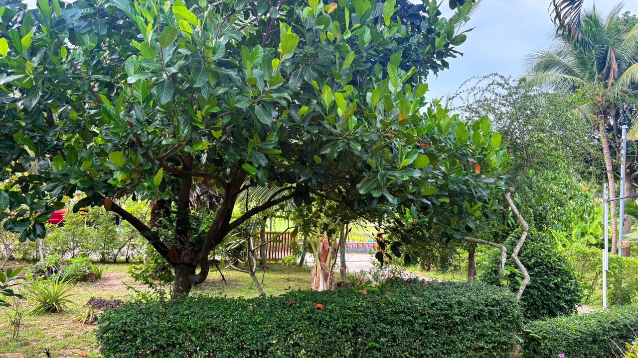 Photo of Patio Balcony in Taling Ngam