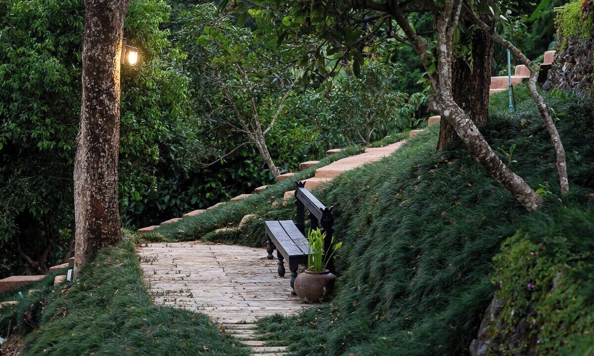 Photo of Outdoor in Mae Fa Luang