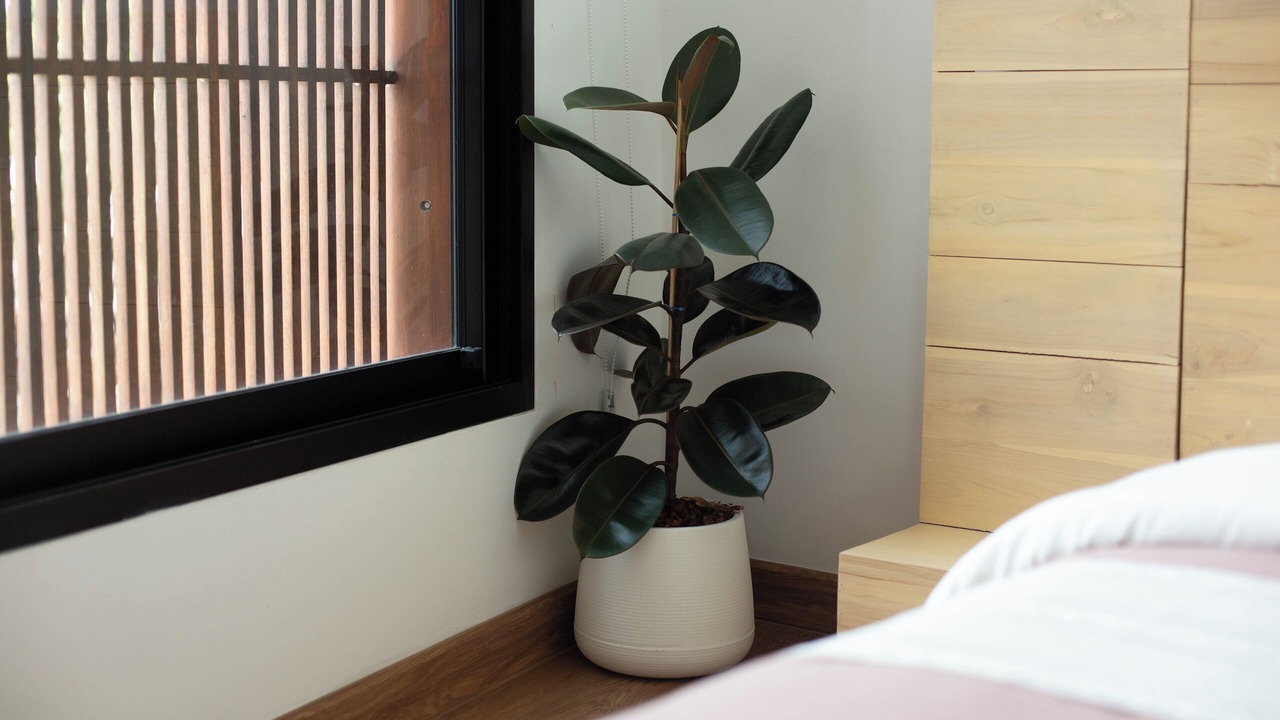 Photo of Bedroom in San Sai