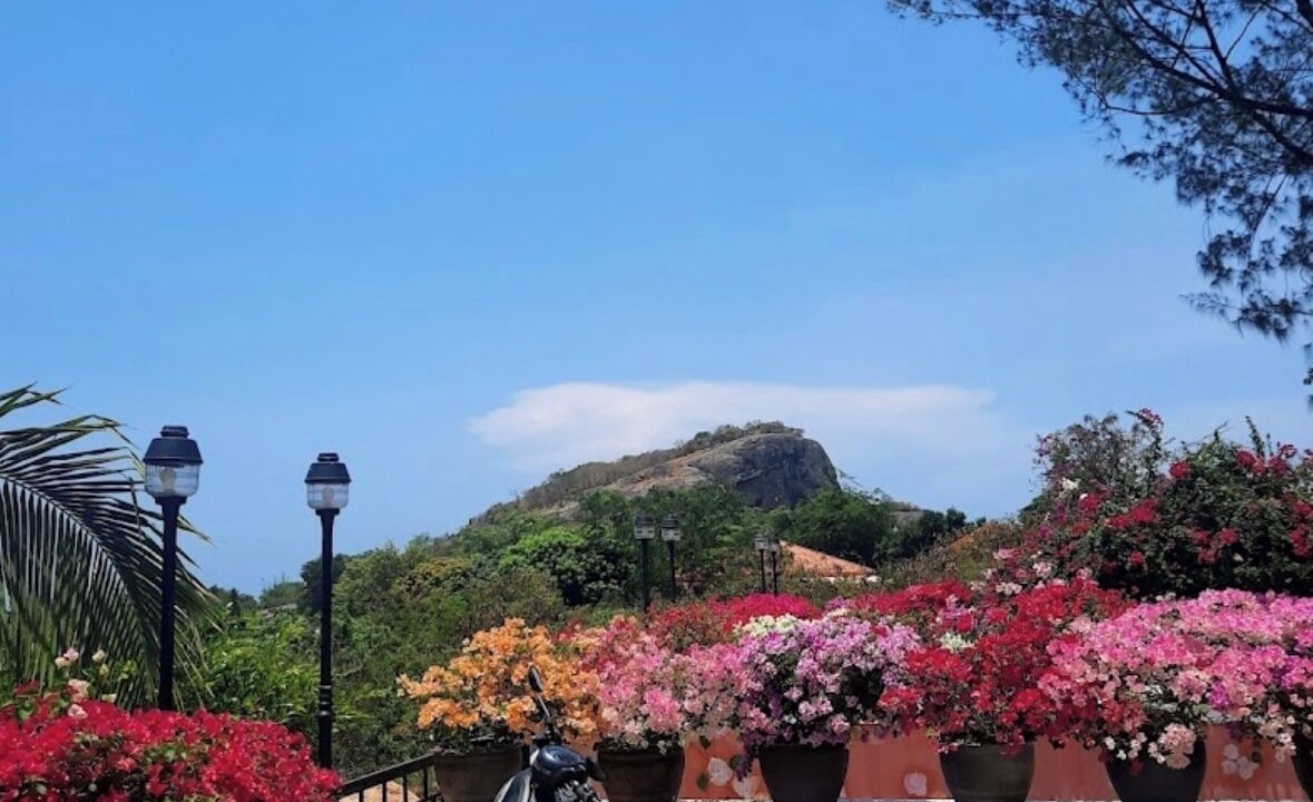 Photo of Outdoor in Wang Pong