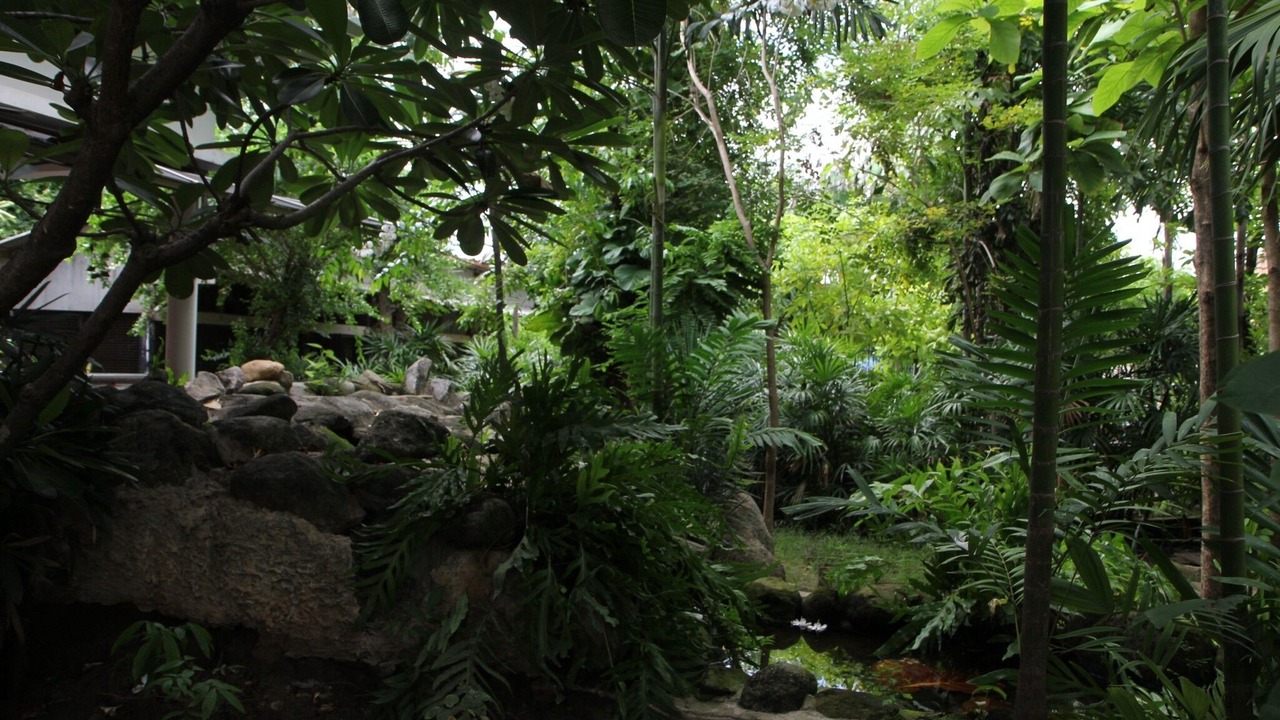 Photo of Outdoor in Lat Krabang