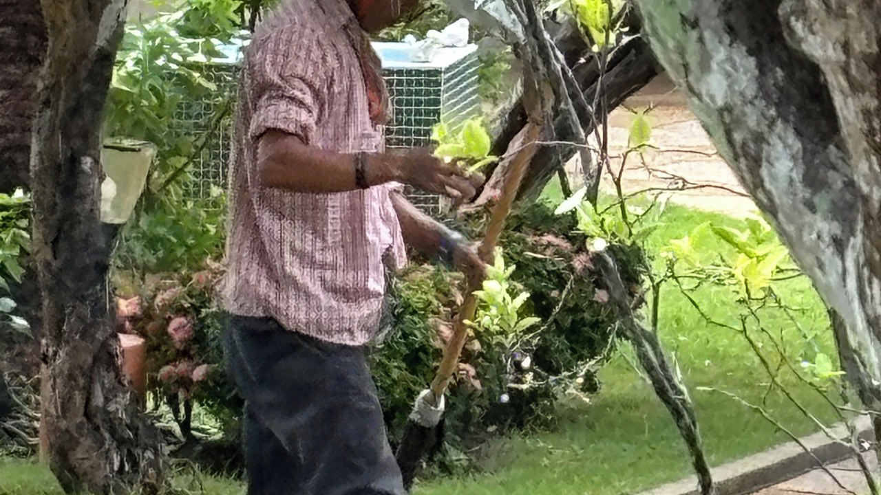 Photo of Outdoor in Pranburi