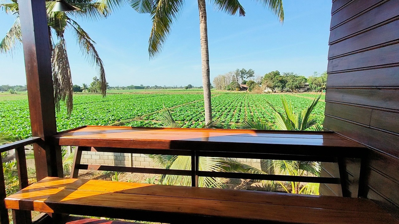 Photo of Outdoor in Sukhothai
