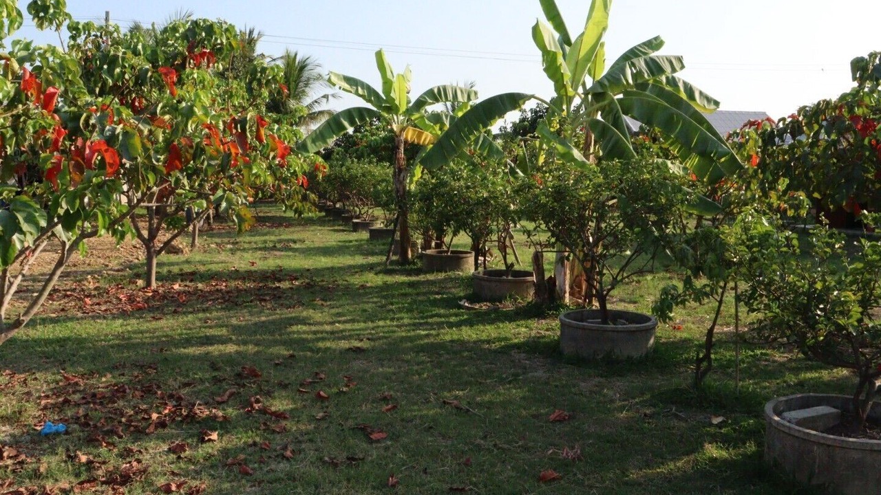 Photo of Outdoor in Sukhothai