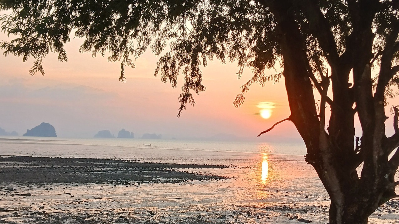 Photo of Others in Krabi