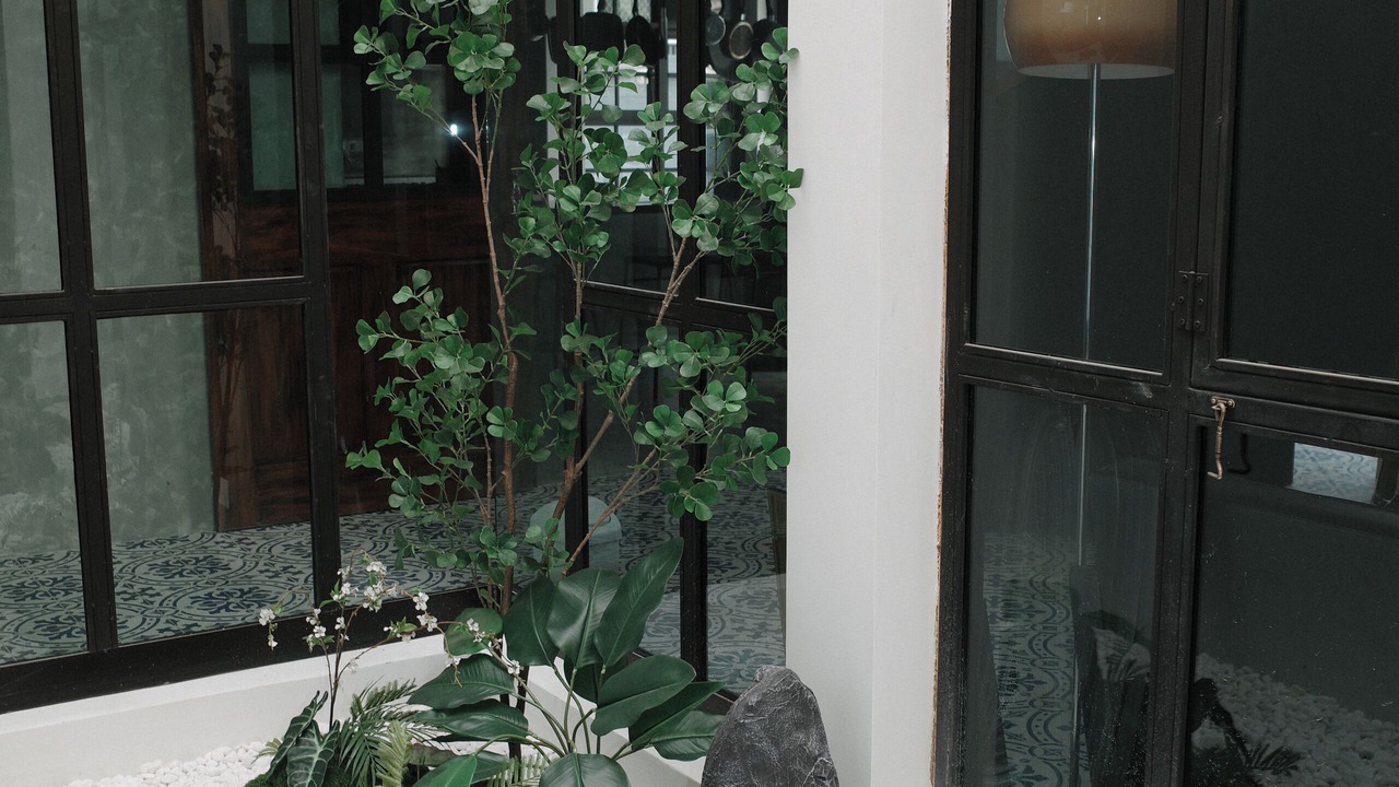 Photo of Outdoor in Phra Khanong Nuea