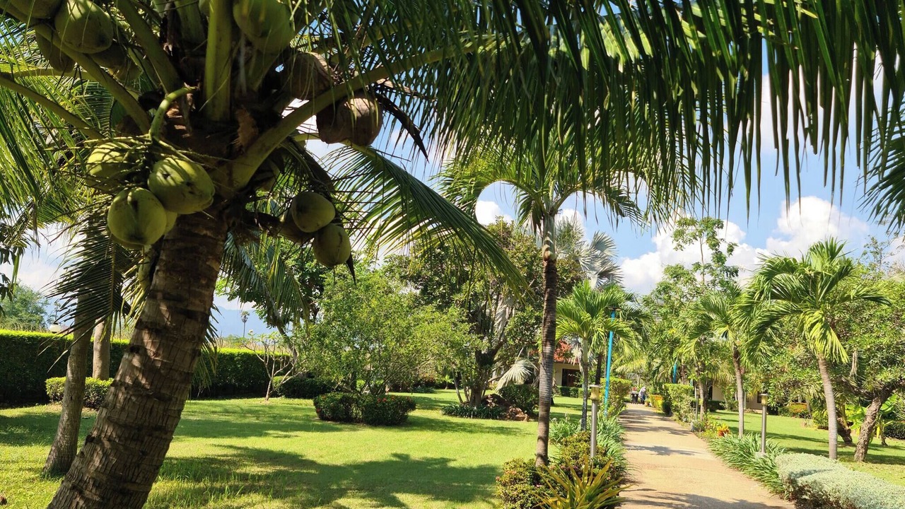 Photo of Outdoor in Cha-am
