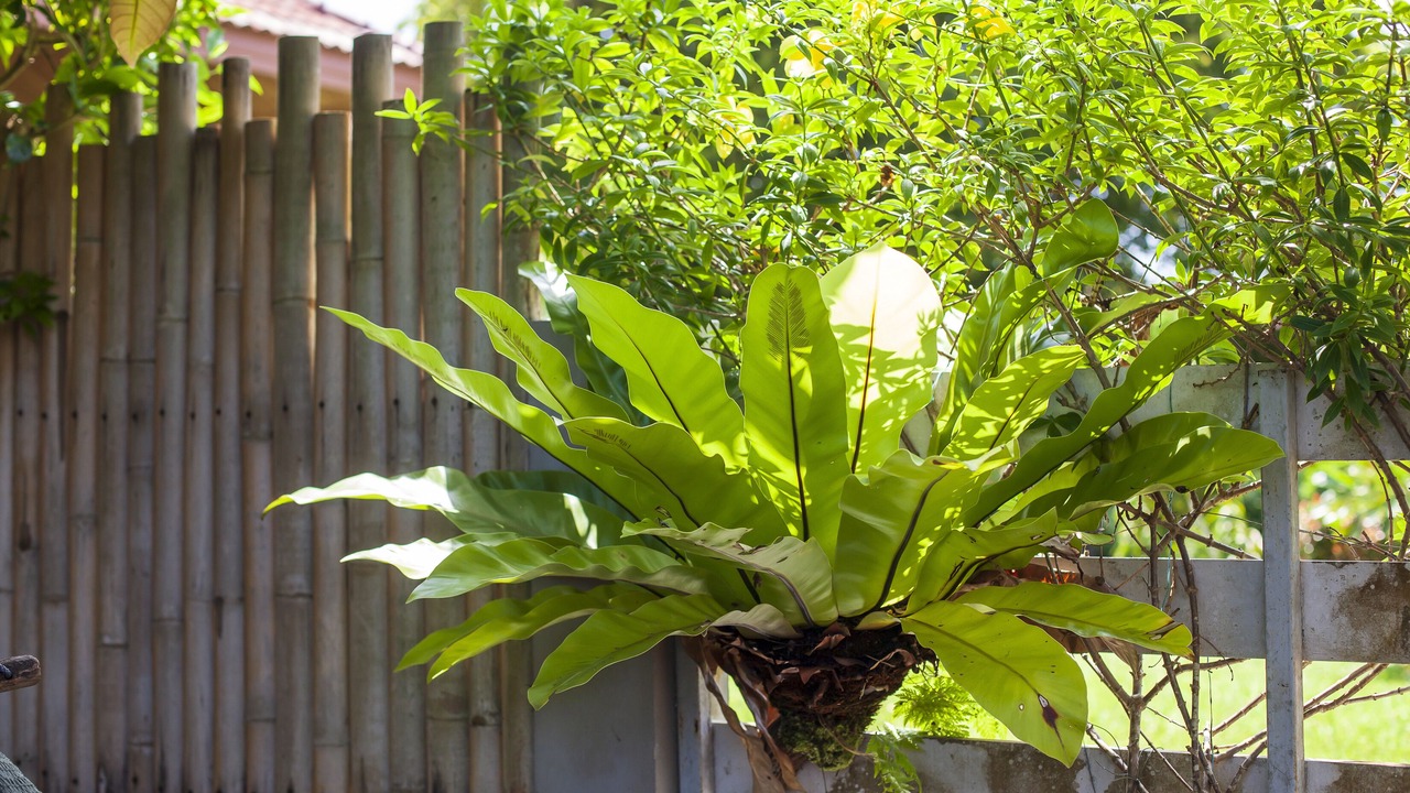 Photo of Outdoor in Nong Thale