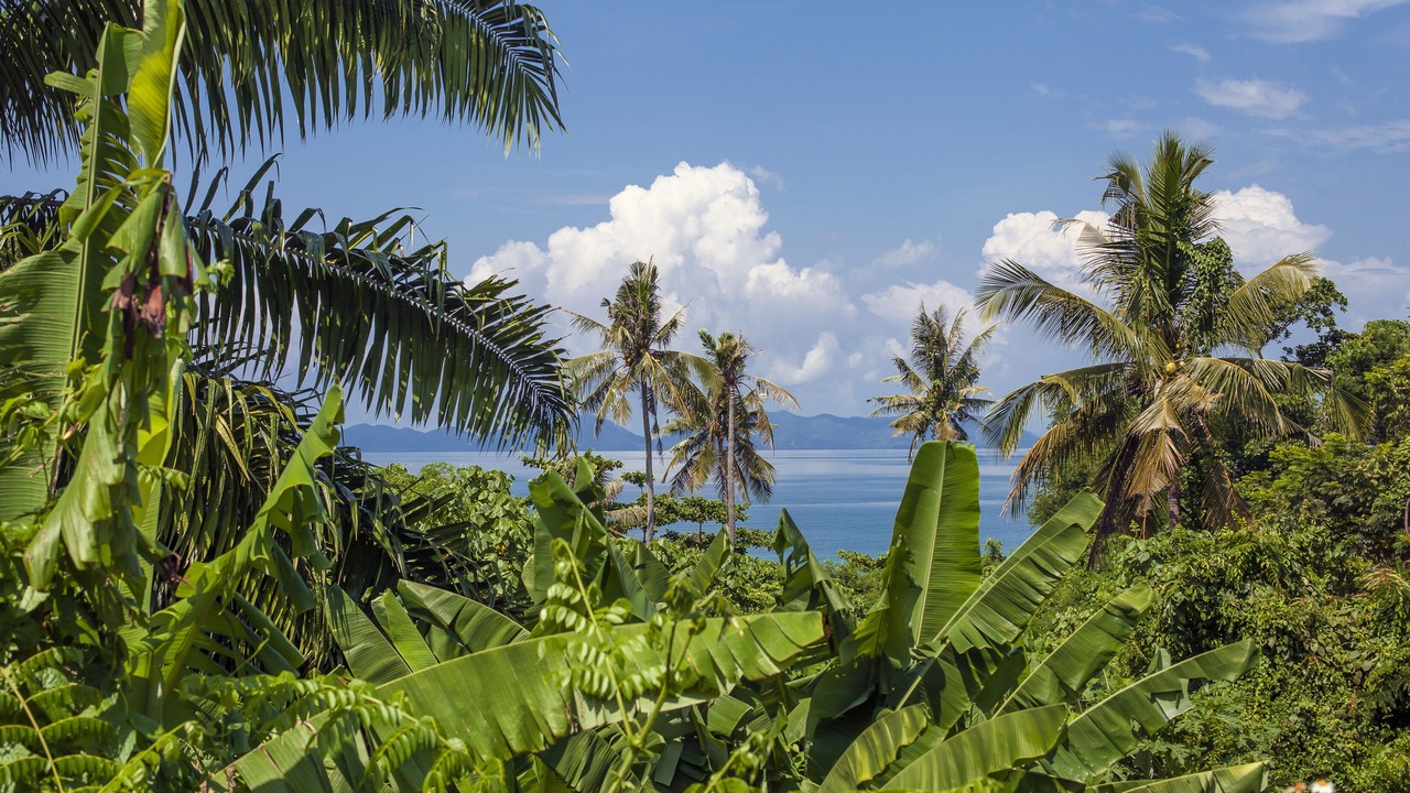 Photo of Outdoor in Nong Thale