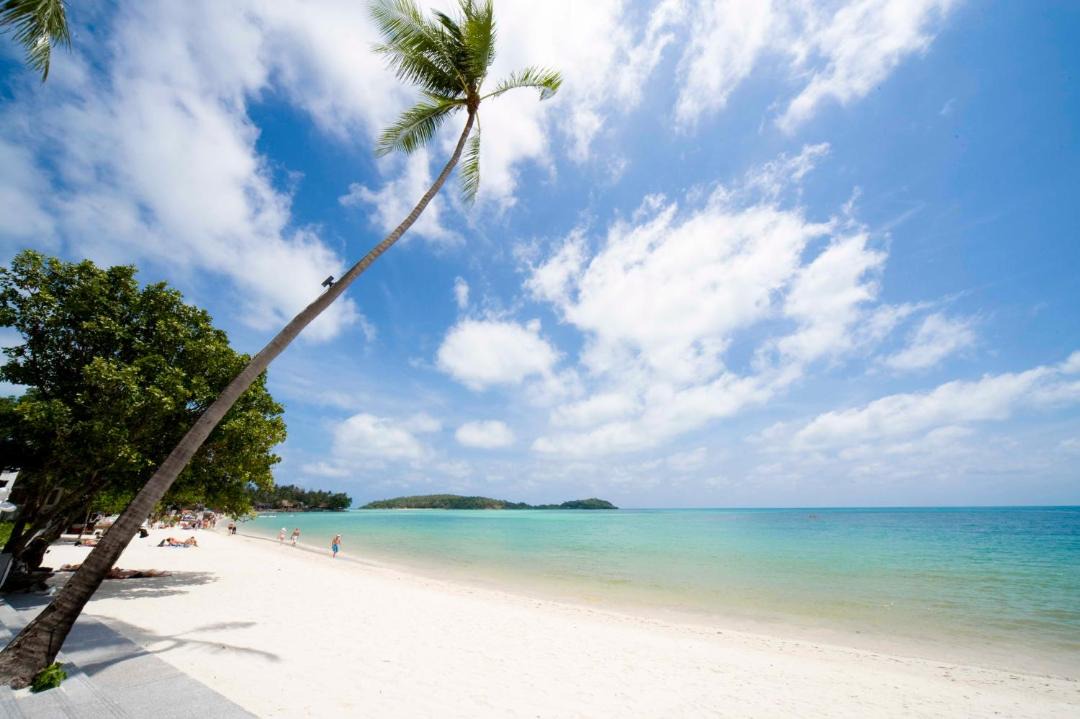 Photo of Outdoor in Lipa Noi