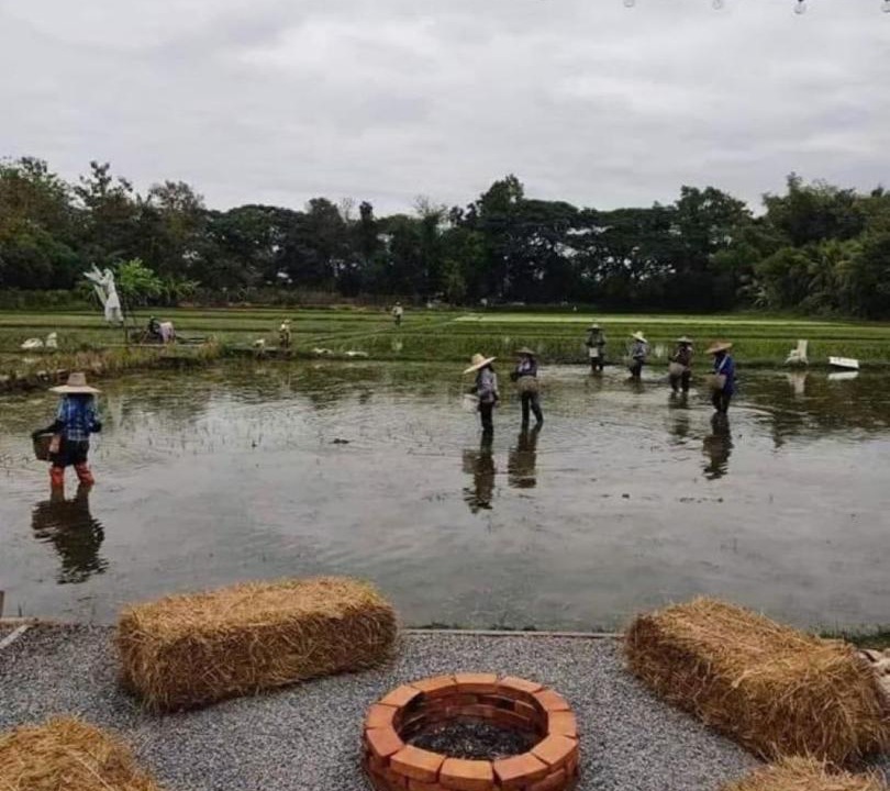Photo of Others in San Kamphaeng