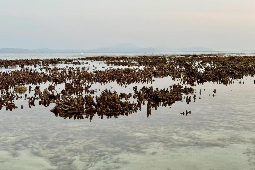 Photo of Others in Satun Province