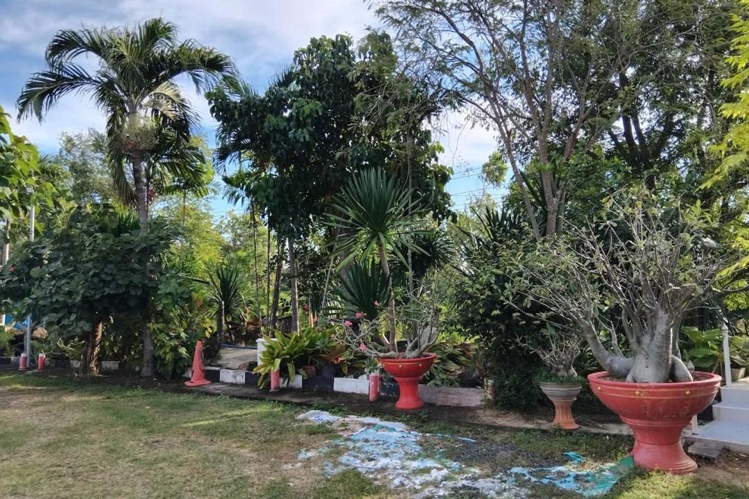 Photo of Outdoor in Nai Muang