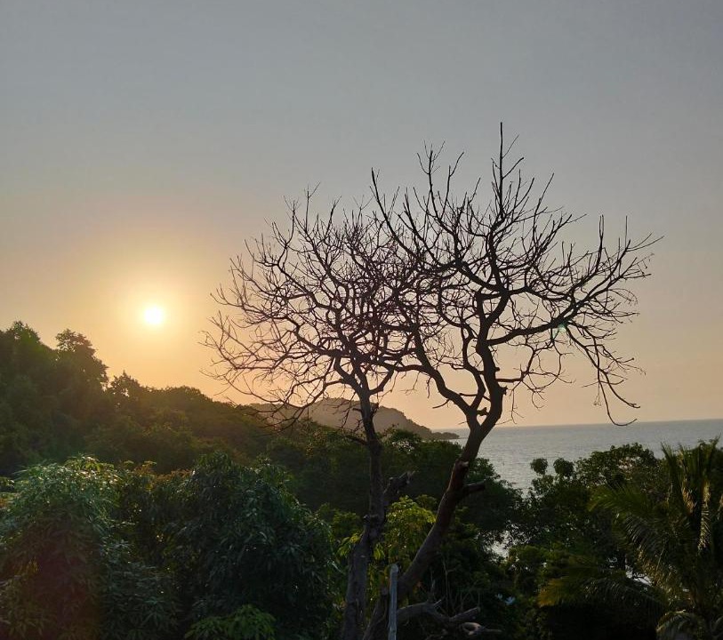 Photo of Others in Ko Phaluai
