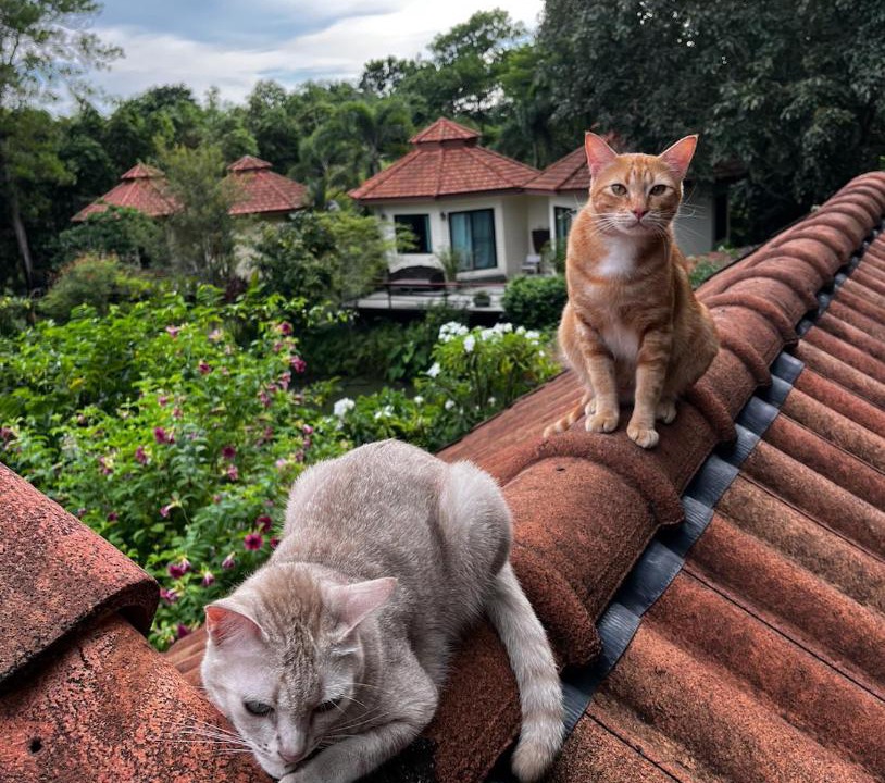 Photo of Others in Baan Khai