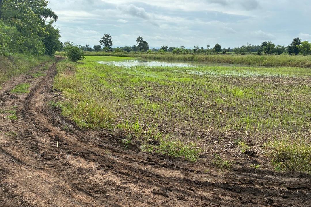 Photo of Others in Wichian Buri
