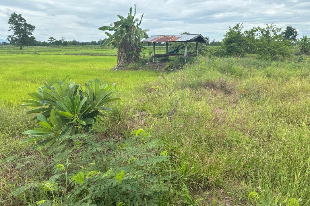Photo of Others in Wichian Buri