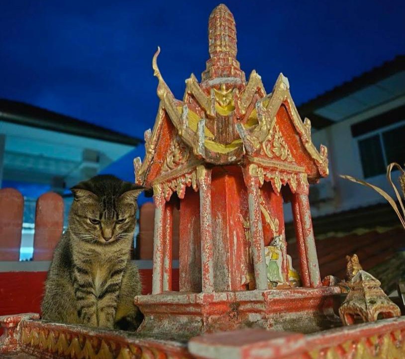 Photo of Others in Prachuap Khiri Khan
