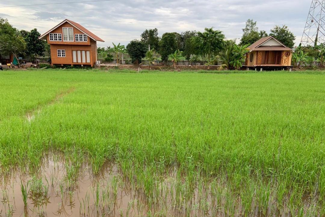 Photo of Others in Phitsanulok