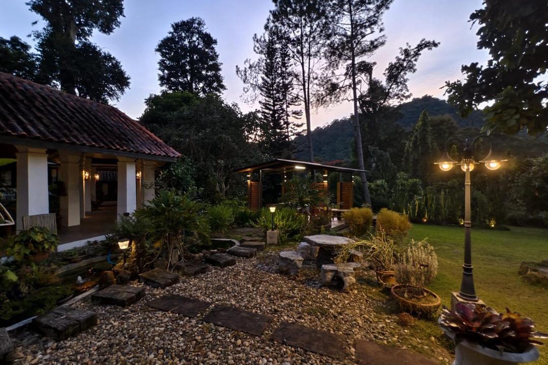 Photo of Others in Pong Yaeng