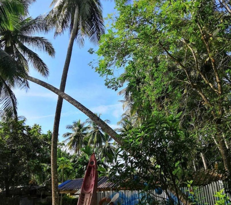 Photo of Others in Ko Libong
