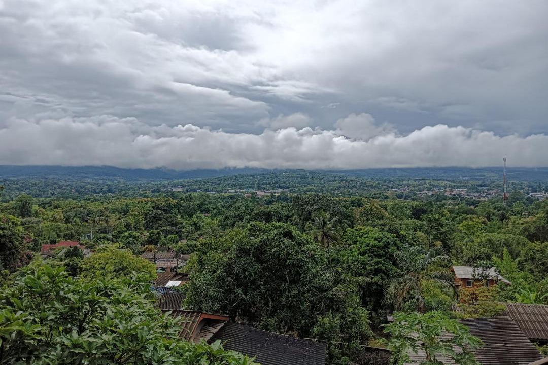 Photo of Others in Pai