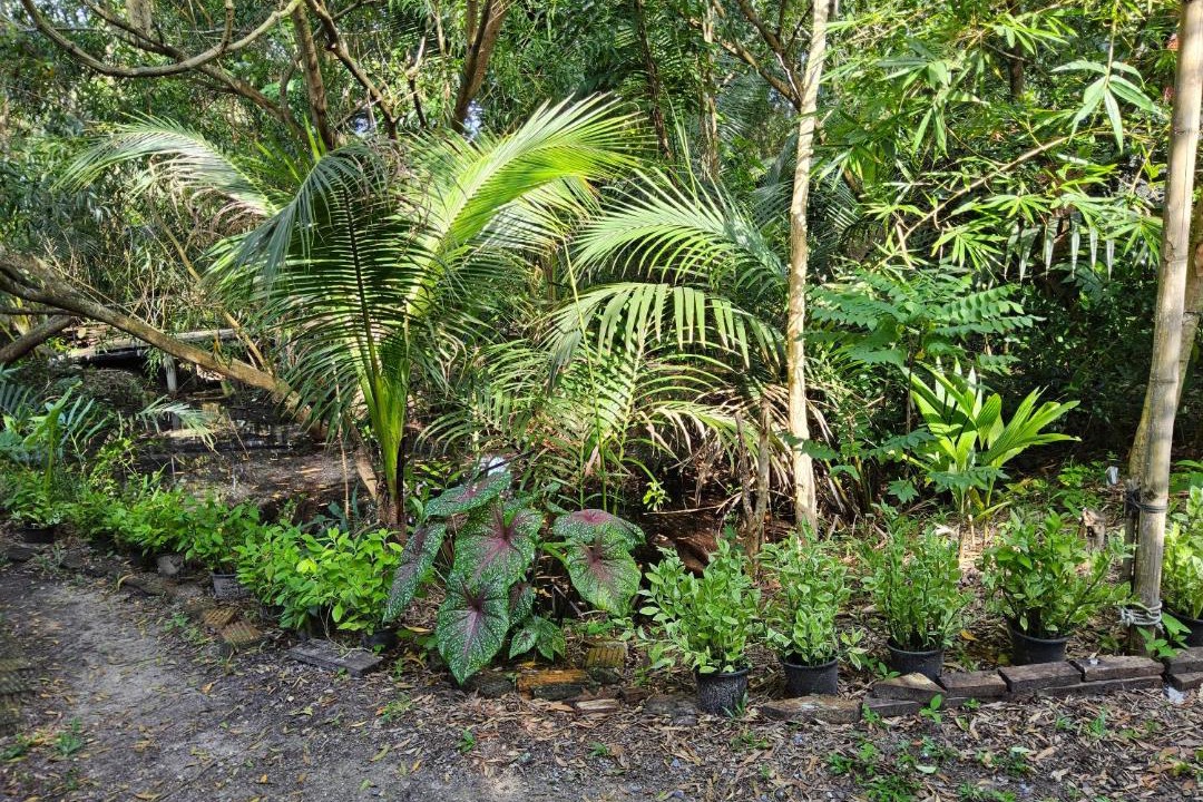 Photo of Others in Ko Yao