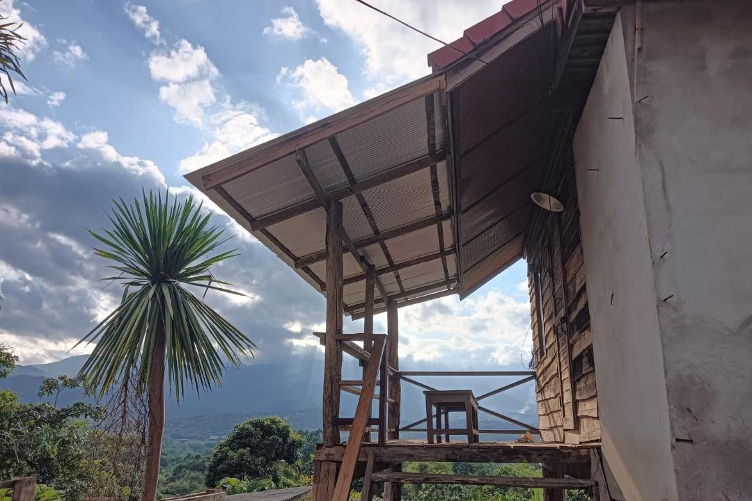 Photo of Others in Pai
