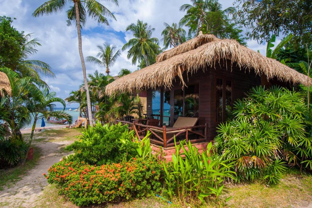 Photo of Others in Koh Tao