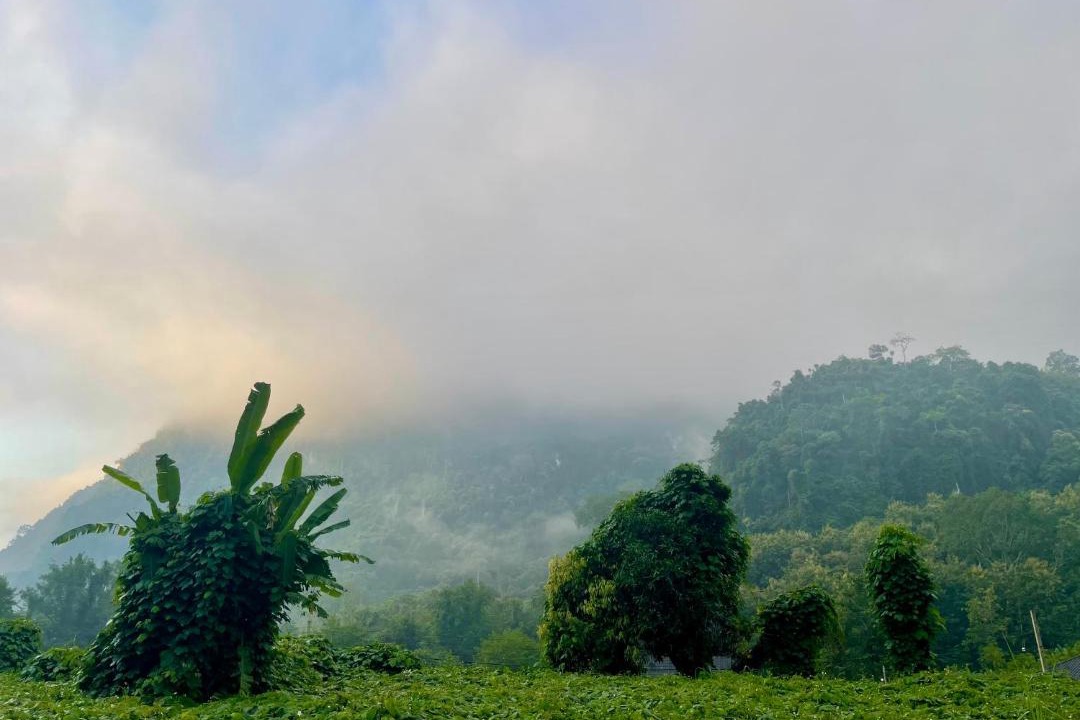 Photo of Others in Nong Khiaw