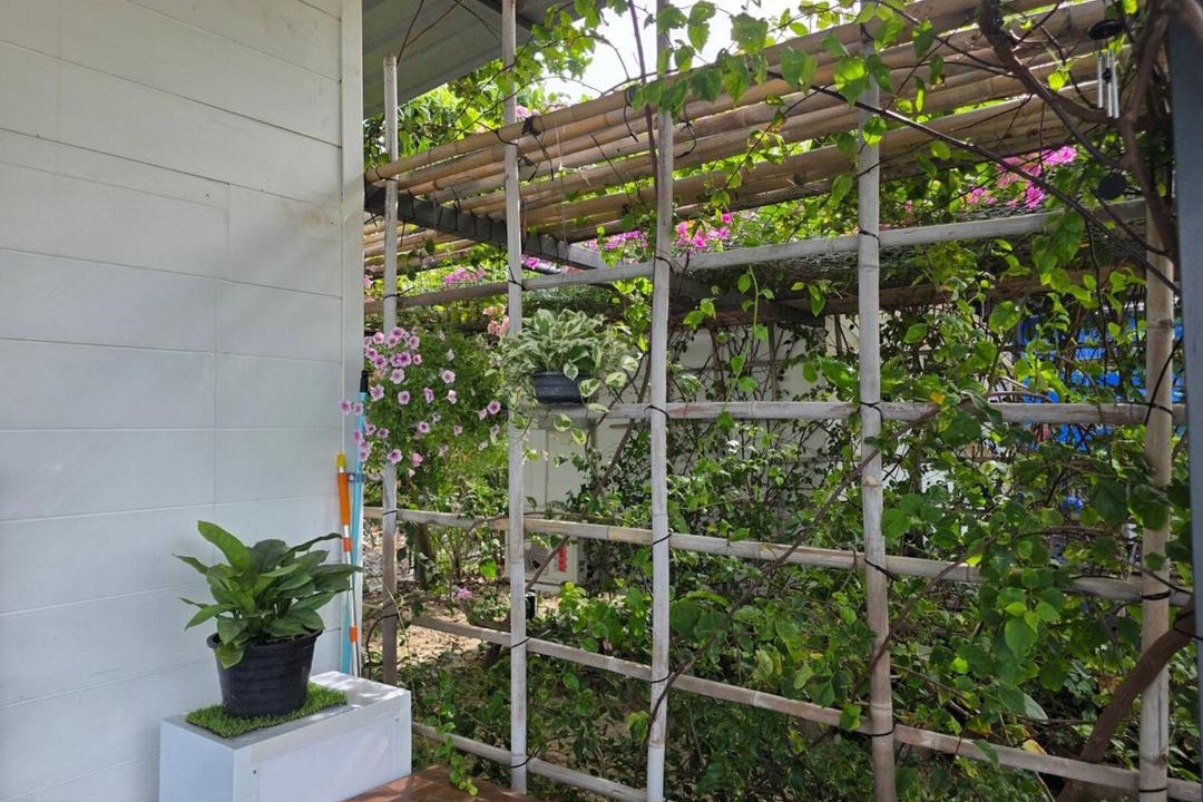 Photo of Others in Songkhla