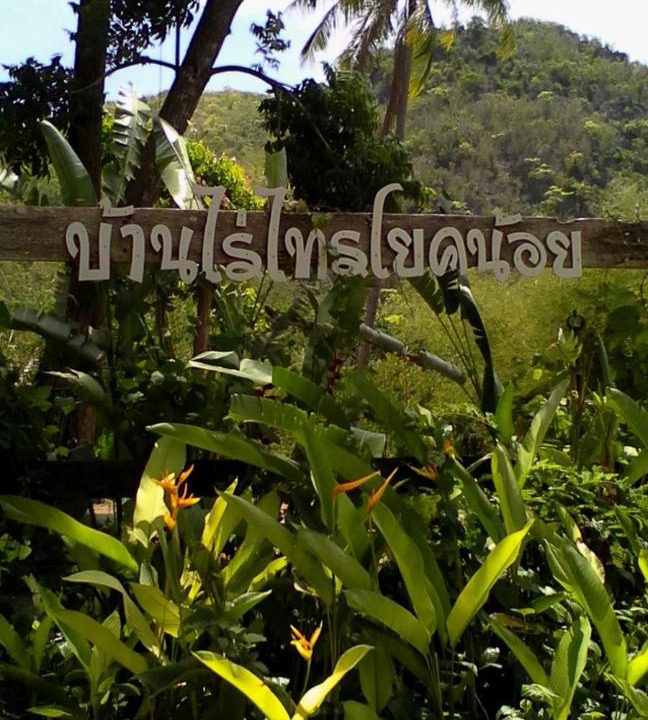 Photo of Others in Tha Sao