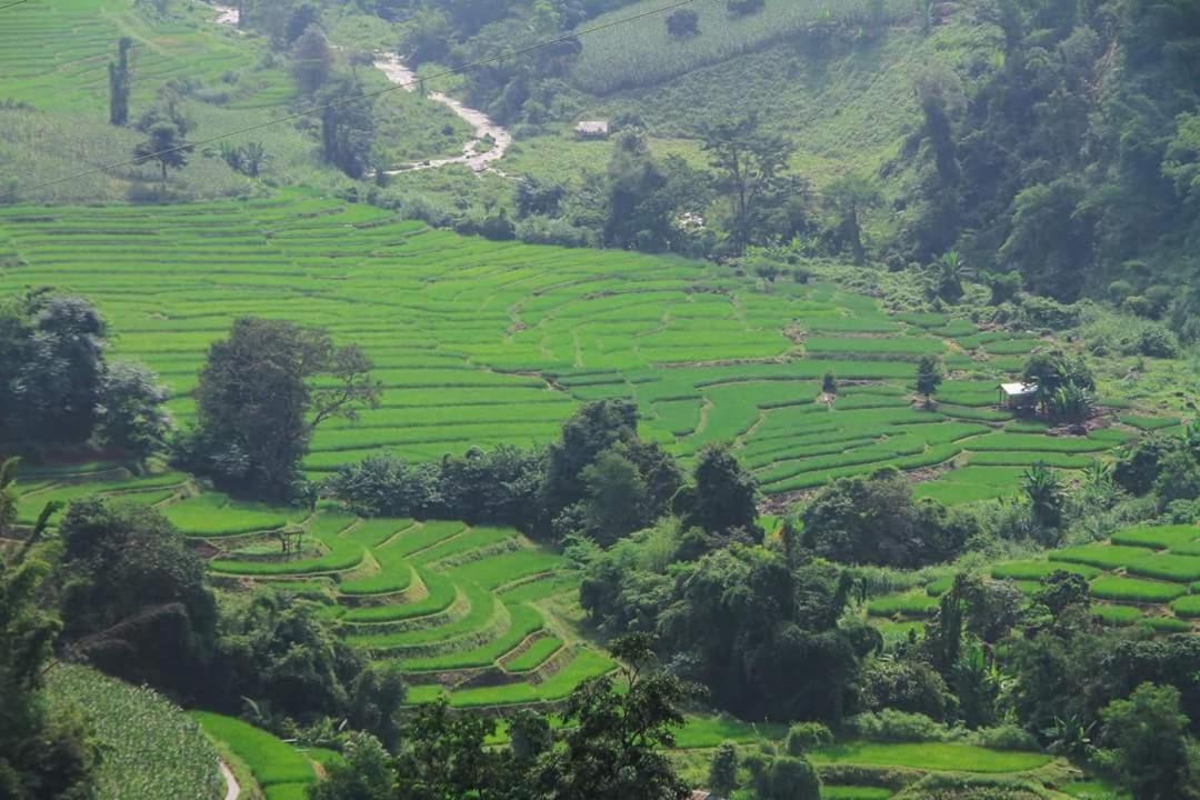 Photo of Others in Mae Chaem