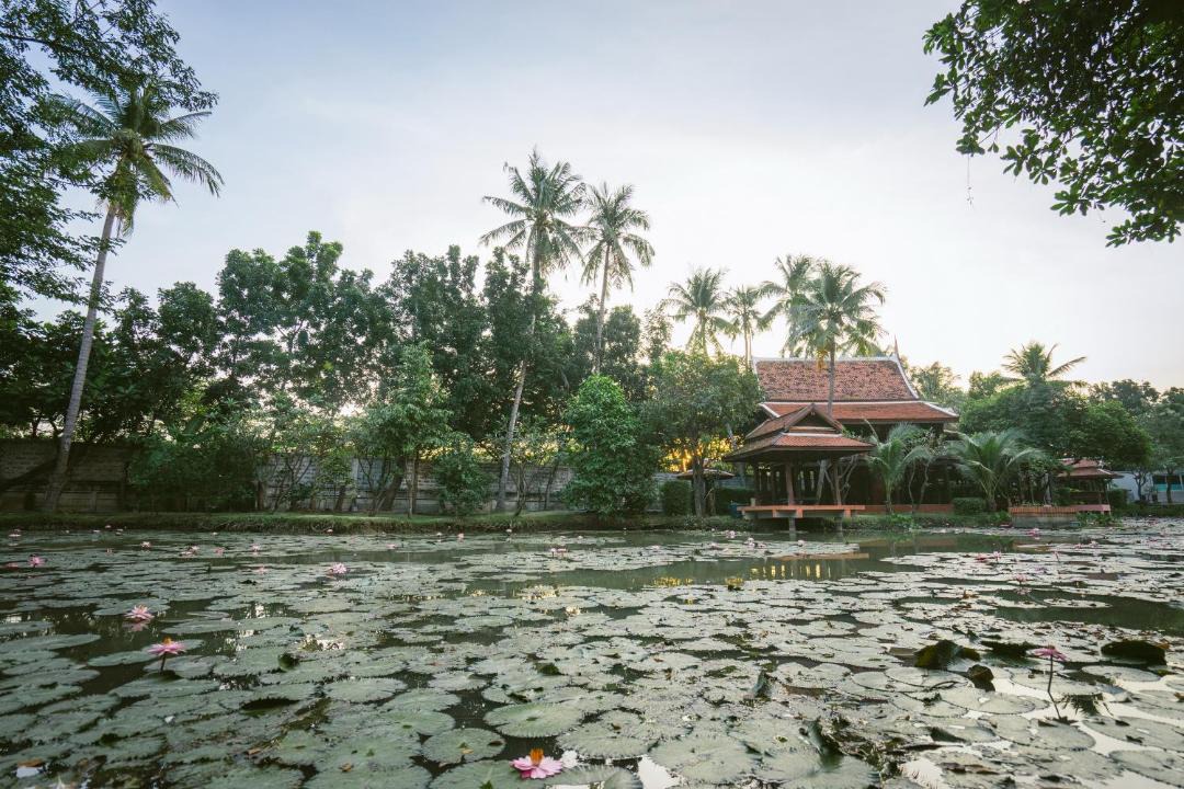 Photo of Others in Nonthaburi