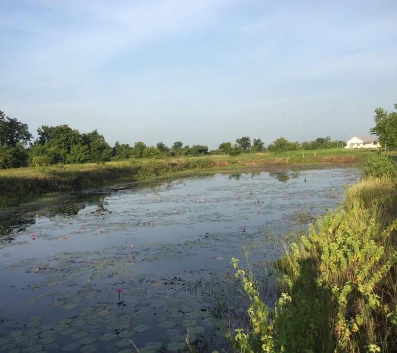 Photo of Others in Buriram