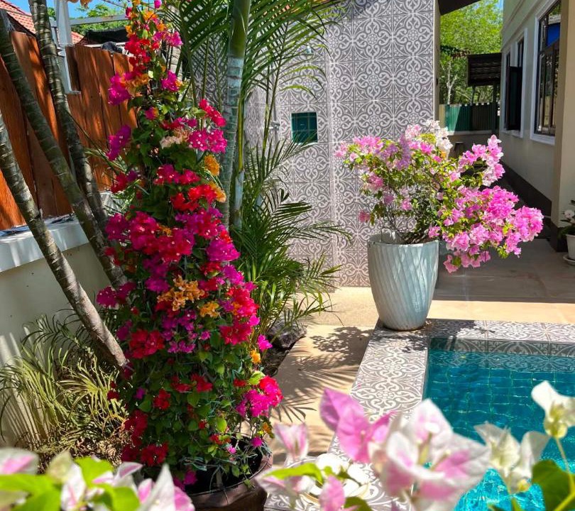 Photo of Others in Ko Lanta